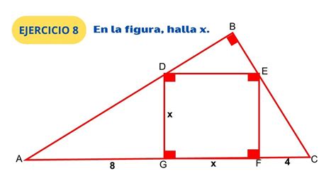 To Sec Proporcionalidad Y Semejanza De Tri Ngulos Ejercicio N