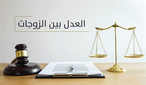 الفرق بين العدل والمساواة مفاهيم العدل والمساواة كلام نسوان