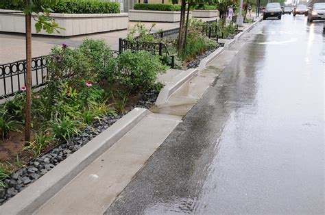 Rain Gardens Dep