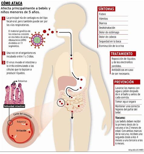 Rotavirus