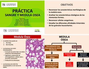 GUÍA DE Practica Histologica 2023 II GUIA DE PRÁCTICA DE HISTOLOGÍA I