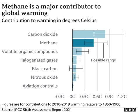 Climate Change New Zealand S Plan To Tax Cow And Sheep Burps Bbc News