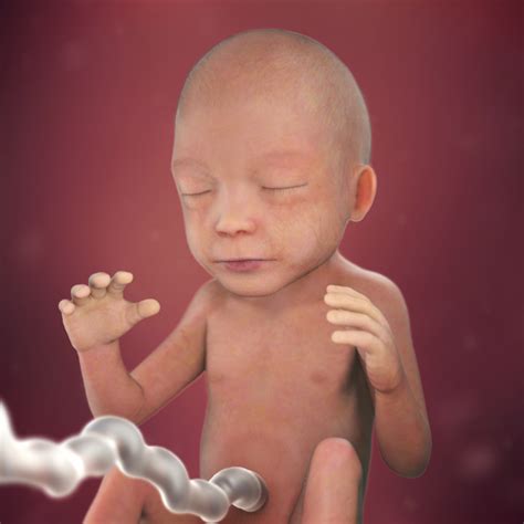 22 Weeks Pregnant Symptoms Belly Pictures And More Babycenter