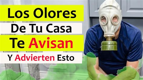 Estos Olores En Tu Casa Te Avisan O Te Advierten Significado Del