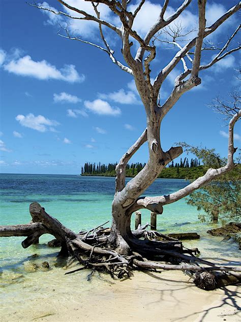 Isle Of Pines New Caledonia Landscape At Kuto Bay Flickr