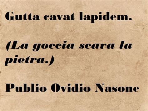 Frasi In Latino Pensieri Aforismi E Immagini Da Condividere