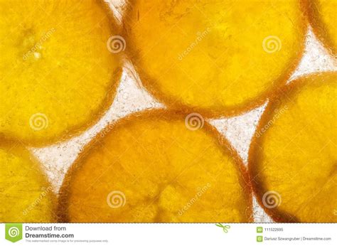 slices  orange frozen  ice stock image image  natural path