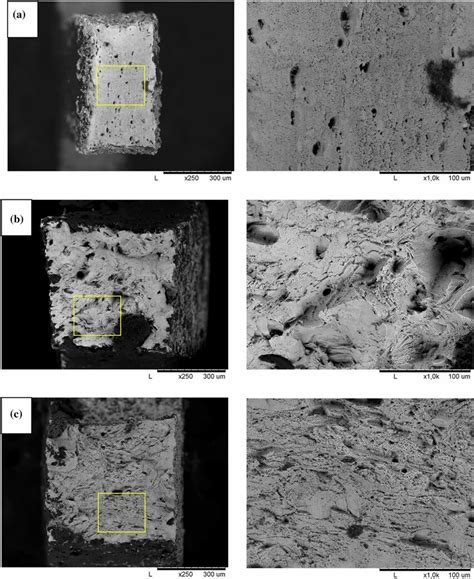 Fractography Of Tested Specimens Of In In Initial State A After