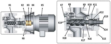 cross section   tested screw type pump  scientific diagram