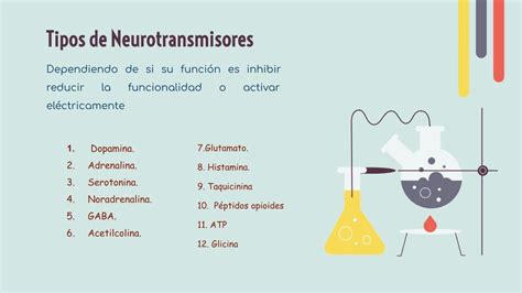 Tomi Digital Los Neurotransmisores