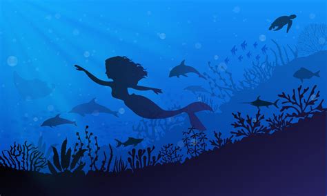 silhouette of mermaid with dolphin and reef. Mermaid underwater ...