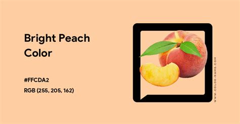 Bright Peach color hex code is #FFCDA2