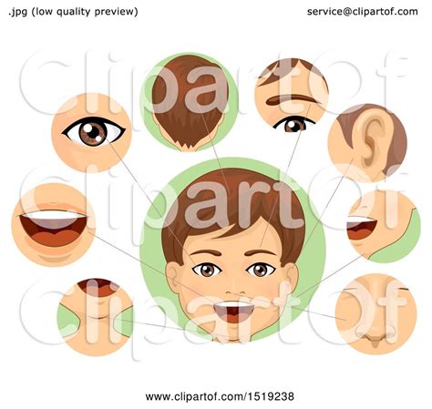 Clipart of a Boy with Closups of His Facial Body Parts - Royalty Free ...