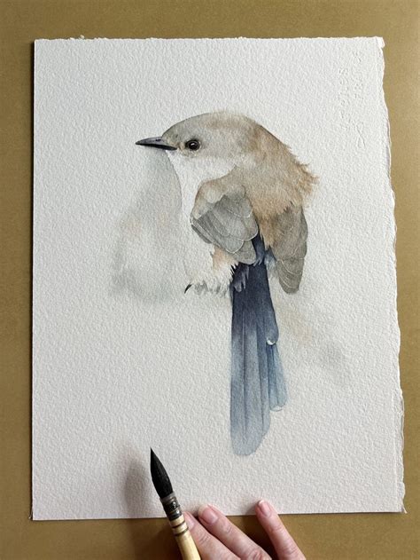 Shop For Original Watercolour Art And Artworks And Paintings From