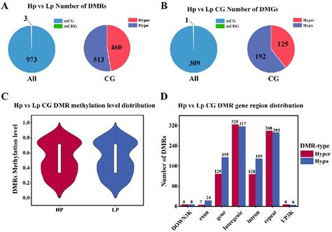 Figure From Genome Wide Dna Methylation Analysis And Functional