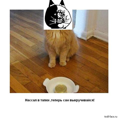 ﻿Нассал в тапки .теперь сам выкручивайся! troll-face.ru / котэ ...