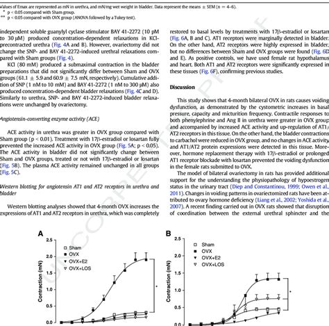 Cumulative Concentration Response Curves To Angiotensin Ii A And