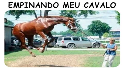 MEMES EM IMAGENS EMPINANDO CAVALO 116 YouTube