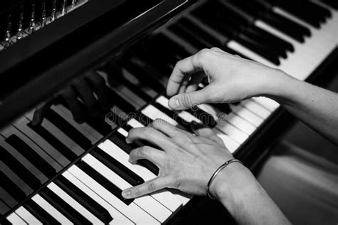 Pianist Hands On The Background Of The Piano Keys Stock Photo Image