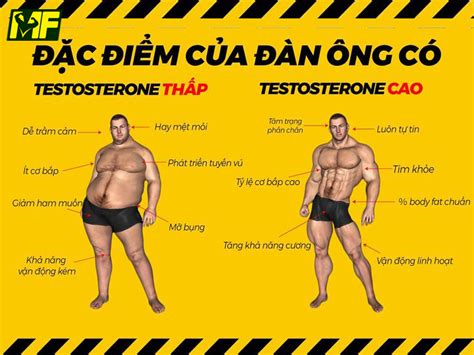 Testosterone Thấp ở Nam Nguyên Nhân Triệu Chứng Và Phương Pháp điều Trị Hiệu Quả