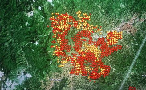 Arrasan Incendios Con 5 Mil Hectáreas En La Selva De Los Chimalapas Crece Incertidumbre En Las