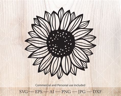 Silhouette Sunflower Drawing Floral Cricut Cut Files Outline Vector Dxf