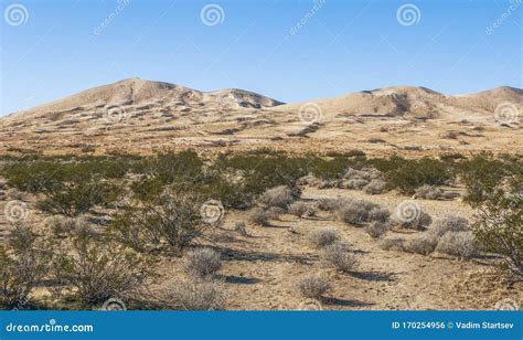 View of Mojave Desert in Winter.Mojave National Preserve.California.USA ...