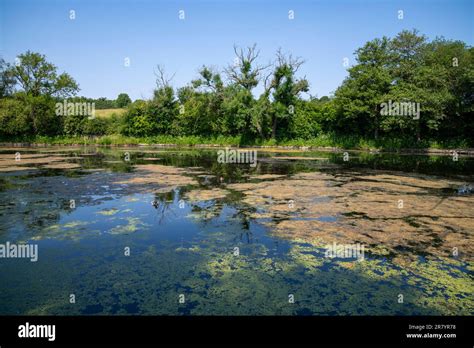 Reddish Vale Country Park Stockport Greater Manchester England Stock