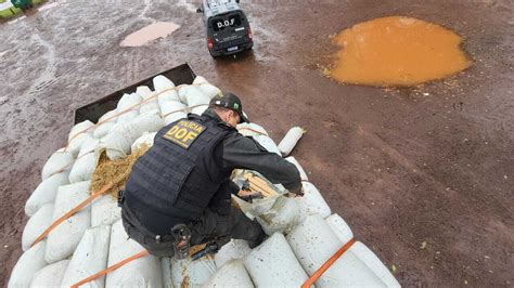 Traficante é preso R 7 7 milhões em maconha escondida sob carga de