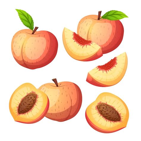 Vector de dibujos animados de conjunto de frutas de melocotón Vector