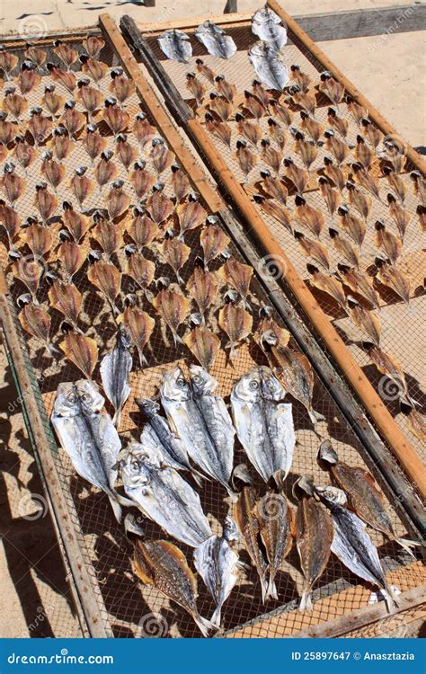 Getrocknete Fische Stockbild Bild Von Europa Portugiesisch 25897647