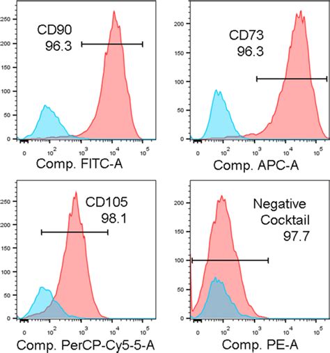 Expression Of Stem Cell Markers In SHED CD90 CD73 CD105 And