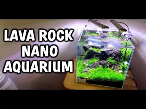 Use Of Lava Rock In Aquarium - Aquarium Views