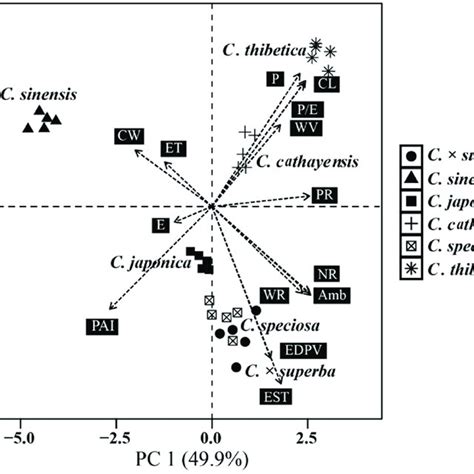 Principal Component Analysis Pca Based On The Pollen Features Of Download Scientific Diagram