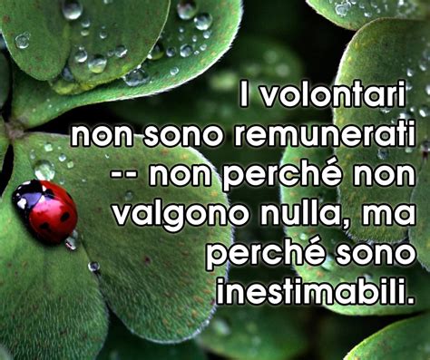 Citazioni Sul Volontariato Volontari Citazioni Citazione Del Giorno