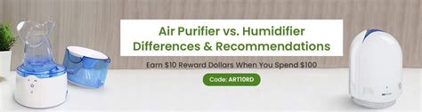 Air Purifier Vs Humidifier What Is The Difference