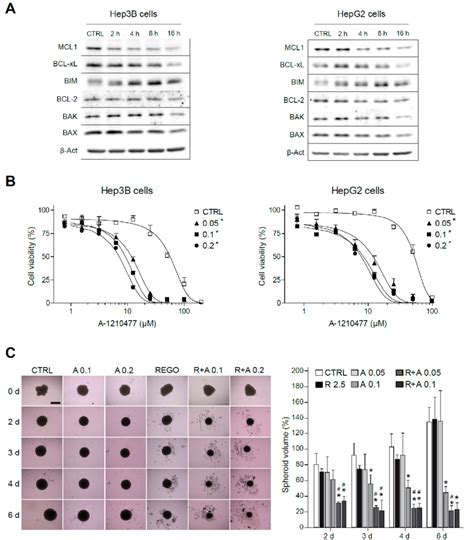 Mcl 1 Inhibition Sensitizes Hepatoma Cells To The Bcl Xl Inhibitor