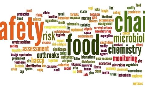 Best Practices For Metal Detection In The Food Industry