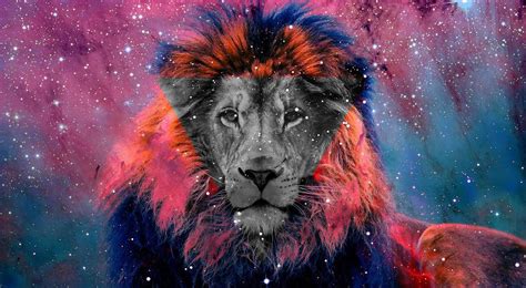 100 Galaxy Lion Wallpapers