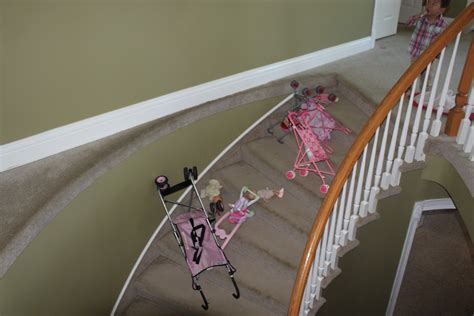 Birds, Toilets, Birds Nests and Strollers