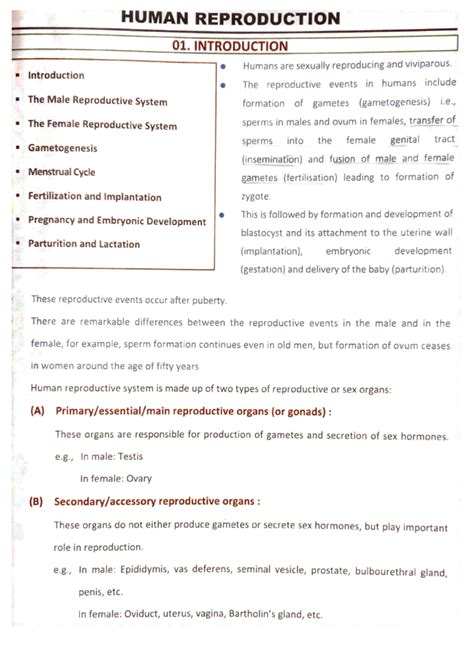 Solution Male Reproductive System Neet Ug Studypool