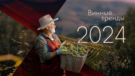 Винные тренды 2024. Часть 1