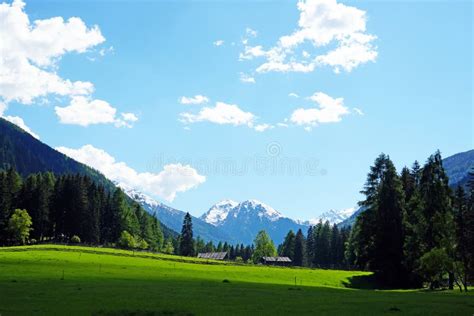 Beautiful Countryside Scenery with Farmhouses, Trees and Snowy Mountains in the Background Stock ...