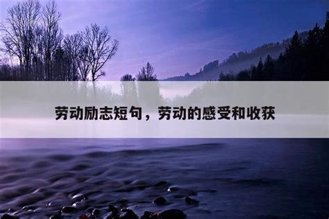 关于理想的优美句子，关于理想的优美段落摘抄 佳句 品与读