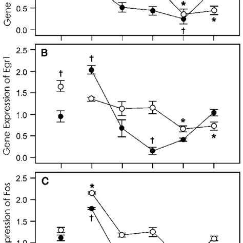 Time Dependent Immediate Early Genes Ieg Expression Following Chronic