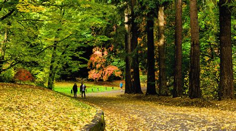 Washington Park Arboretum | Seattle and Sound