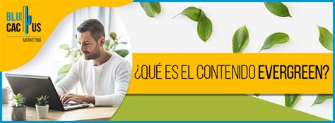 ¿qué Es El Contenido Evergreen [2021] Blucactus Contenido Ve