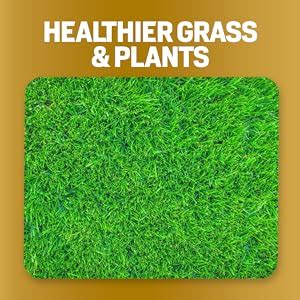 Amazon Gal Humic Acid For Lawn Covers Sq Ft