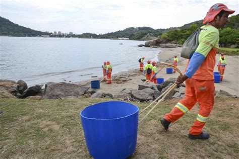 ES Vitória inicia mutirão de limpeza da orla e dos manguezais Metrópoles