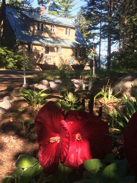 Near Ellsworth Maine Ellsworth Maine Best Campgrounds Rving Finding